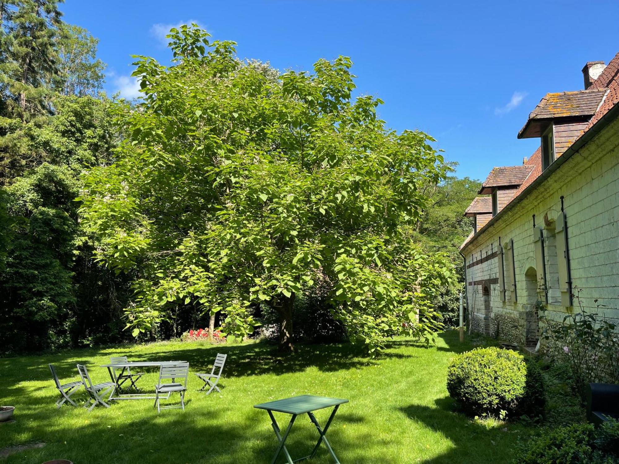 Bed and Breakfast Domaine de Fresnoy à Loison-sur-Créquoise Extérieur photo
